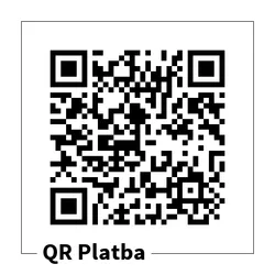 QR Payment